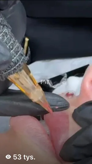 Beauty & PMU — reel 53 tys.